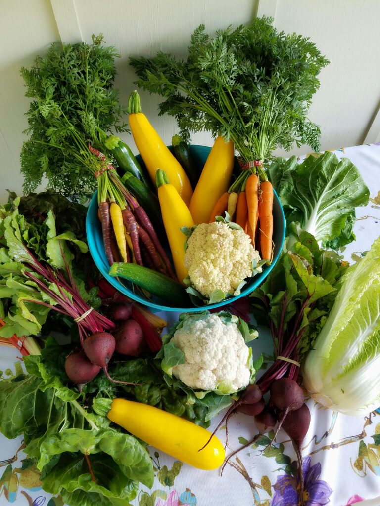 Vibrant assortment of fresh vegetables in a bowl, perfect for healthy meals.